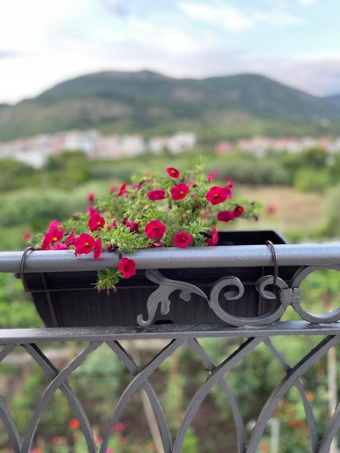 شقة Petivat Gardens المظهر الخارجي الصورة