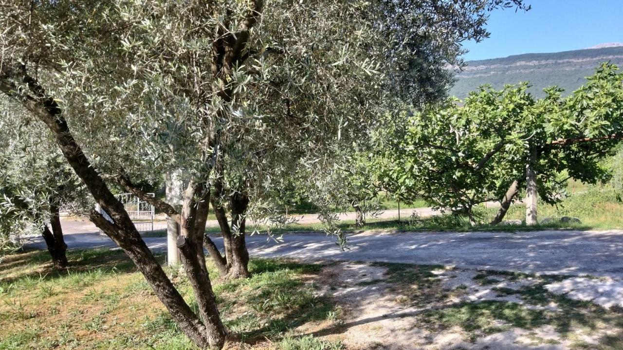 شقة Petivat Gardens المظهر الخارجي الصورة