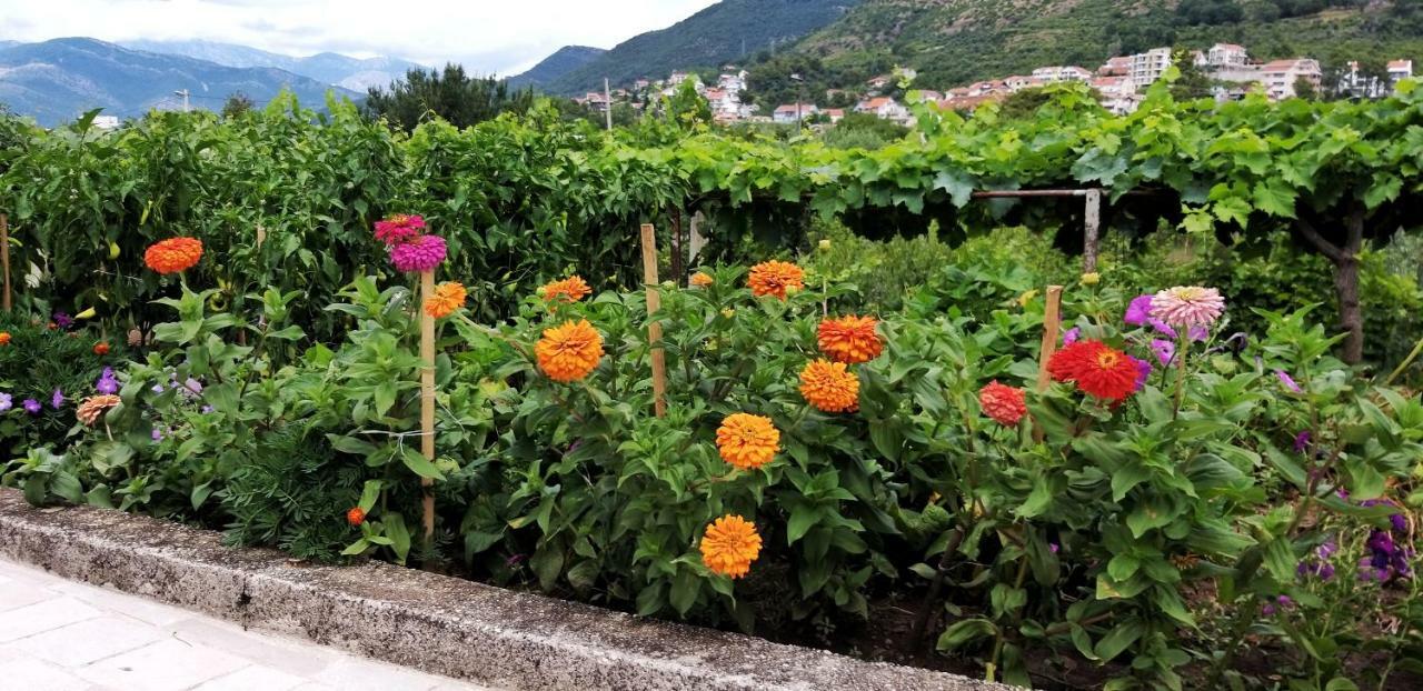شقة Petivat Gardens المظهر الخارجي الصورة